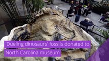 'Dueling dinosaurs' fossils donated to North Carolina museum, and other top stories in strange news from November 19, 2020.