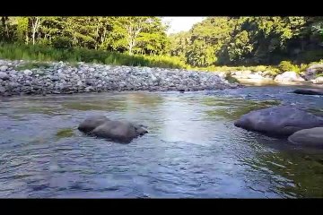 Rlaxing Rural Music *** 8D Audio*** Come With Us