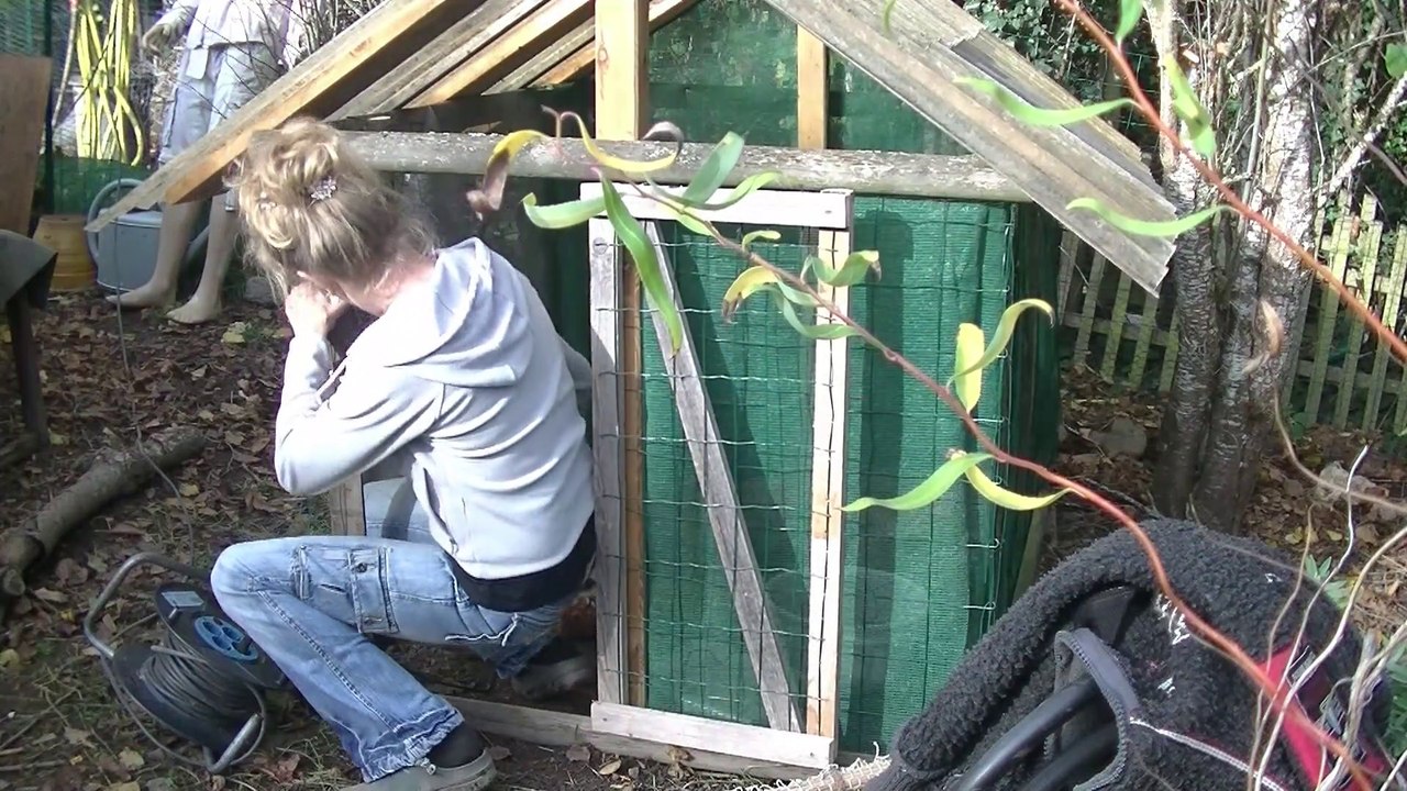 B13 - Spatzenplage am Hühnerfutter