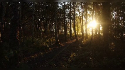 Beautiful scenery _ Relaxable _ Nature