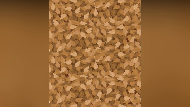 Arriverez-vous à retrouver les 6 hérissons bien cachés...