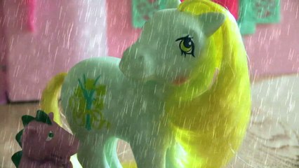 Pikku Ponit-Voi, sateisena päivänä