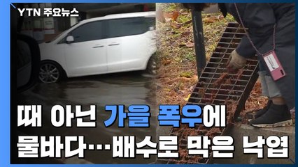 때아닌 가을 폭우에 출근길 '물바다'..."낙엽이 배수로 막아" / YTN