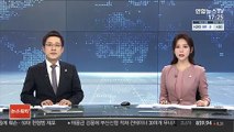 '직원 상습폭행' 한진家 이명희 2심도 집행유예