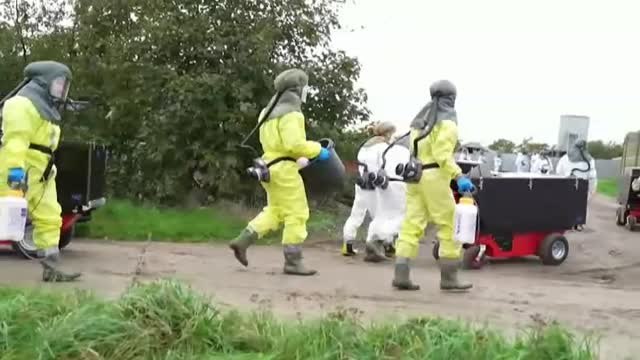 Dimite el ministro de Agricultura danés por el sacrificio de todos los visones del país