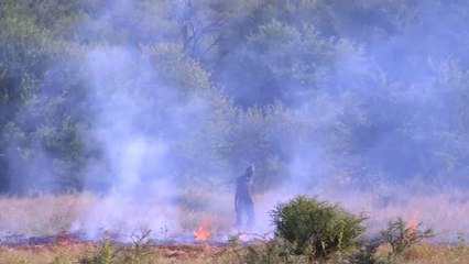 حملة لمواجهة حرائق المراعي بالولايات في موريتانيا