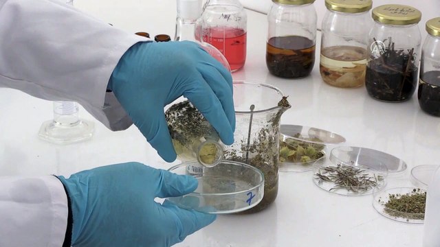 NİĞDE - Aromatik bitki yağlarının etken maddesinden takviye edici gıda üretildi