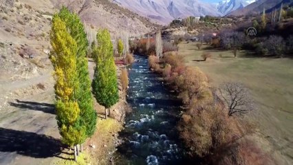 VAN - Bahçesaray'ın tepelerinde kar ormanlarında sonbaharın renkleri büyülüyor