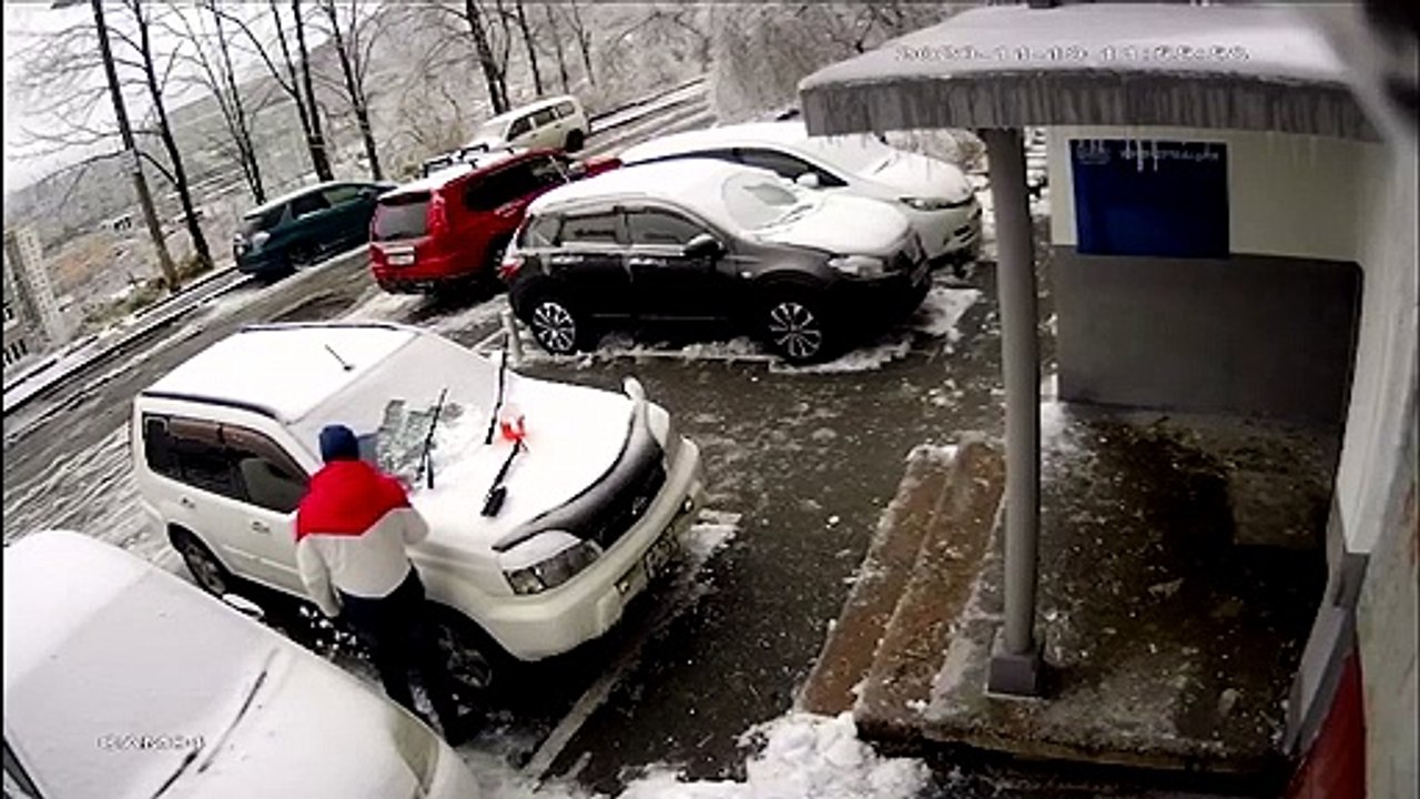 Surprise en déneigeant sa voiture