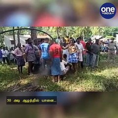 50 அடி ஆழத்தில் யானை... பரபரக்கும் மீட்பு பணி காட்சிகள் - வீடியோ