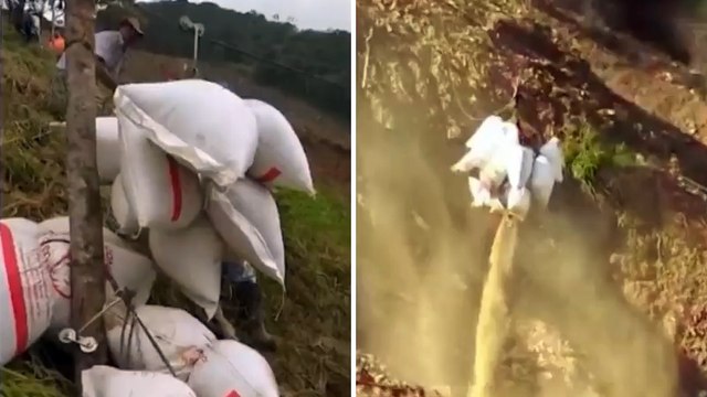 Por derrumbe, productores tienen que sacar alimentos de Cedeño, Antioquia, en garrucha