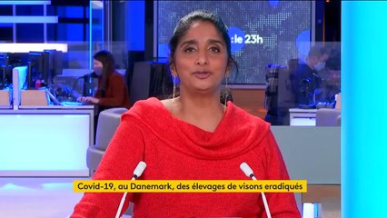 Coronavirus : la mutation du virus pose question