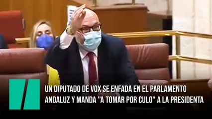 El berrinche de un diputado de Vox en el Parlamento de Andalucía: golpea el micro y manda "a tomar por culo" a la presidenta