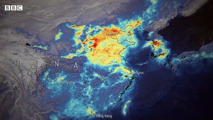 Seberapa Besar Dampak Pandemi Covid-19 Terhadap Lingkungan ?