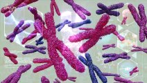 Scientists Accurately 3D Image a Chromosome For the First Time