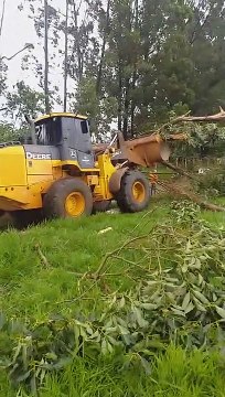Uma árvore caiu em cima de um caminhão e deixou um homem morto, no Anel viário, em frente ao antigo lixão da Estrutural