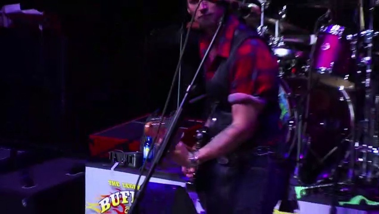 Sweet HitchHiker (C.C.R. song) John Fogerty (live) video Dailymotion