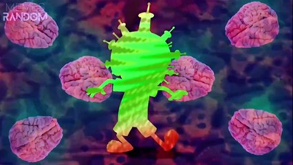 memes graciosos una locura