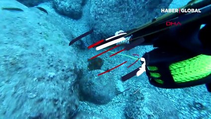 Aslan balığının zehirlediği Youtuber'ın acı dolu anları