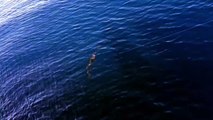 Messina - Pesca di frodo, sequestrati 3500 metri di palangari (19.11.20)