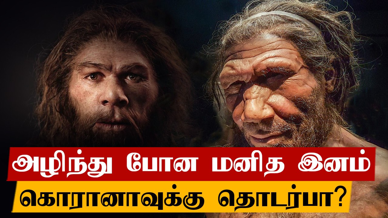 Neanderthals மனிதர்களுக்கும் கொரோனா பாதிப்புக்கும் தொடர்பு.. ஆய்வாளர்கள் தகவல்