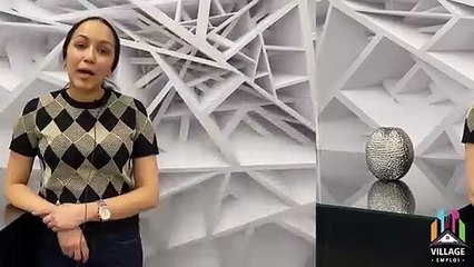 Témoignage 8 _ Avis sur le Village de l'Emploi