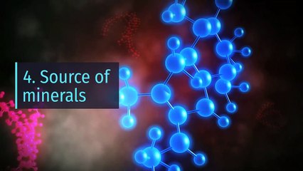 10 benefits of potatoes