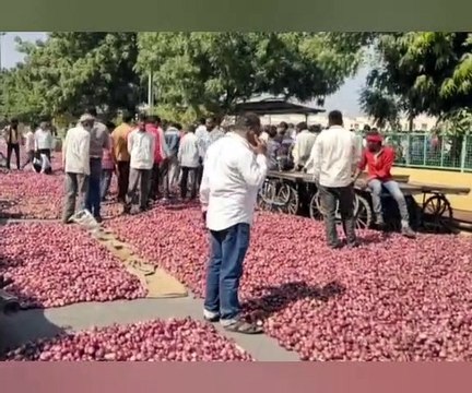 मंदसौर कृषि उपज मंडी में प्याज की बंपर आवक, किसानों से कम भाव में खरीदी जा रही हैं प्याज