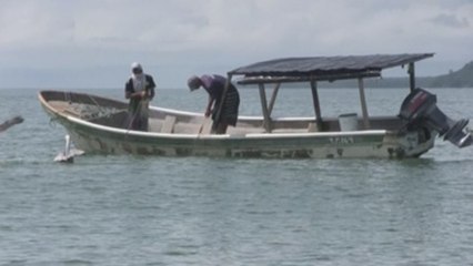 Así es la vida de los pescadores del puerto Palo Seco en Panamá
