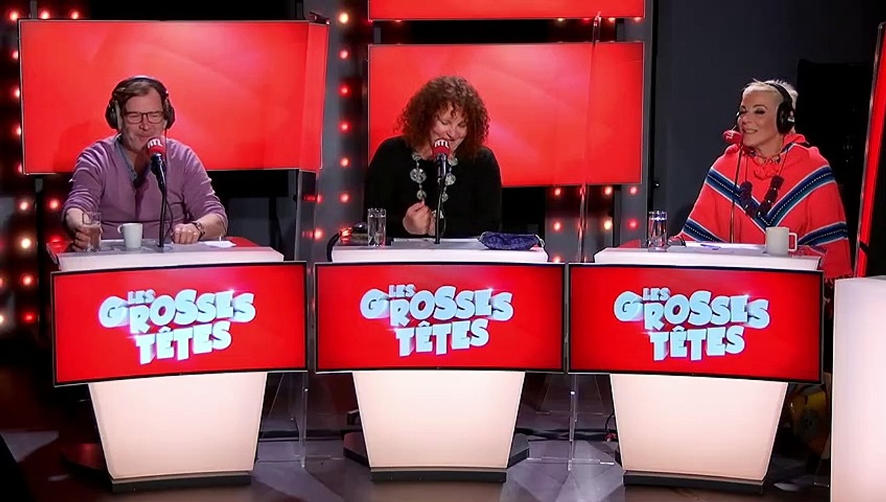 Laurent Ruquier et les mémoires de Matthew McCo...