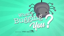 Preventive Pest Control can help get rid of the creepy crawlies bugging you