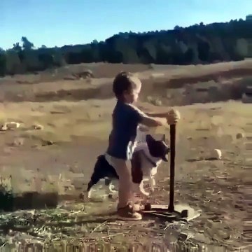 Regardez comment ce petit garçon joue avec son chien
