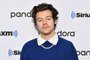 Harry Styles Once Dog Sat For "The Crown" Star Emma Corrin