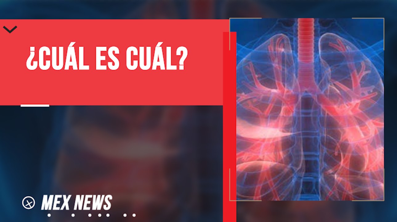 ¿CÓMO DIFERENCIAR ENFERMEDADES RESPIRATORIAS O INFECCIOSAS DE TEMPORADA DEL COVID-19?