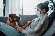 Dog Owners Are at a Higher Risk of Contracting COVID-19, Study Says
