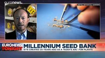 Millennium Seed Bank celebrates 20 years of preserving plant heritage