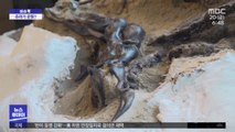 [이슈톡] 6천700만 년 전 공룡의 혈투 화석 공개