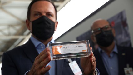 First doses of China’s CoronaVac Covid-19 vaccine land in Brazil