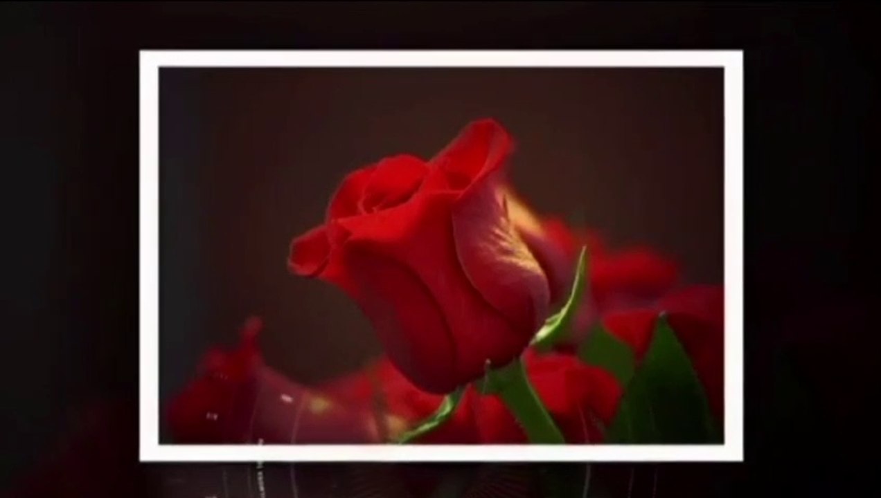 Para mi tu eres Todo. Poemas y Versos de amor romanticos