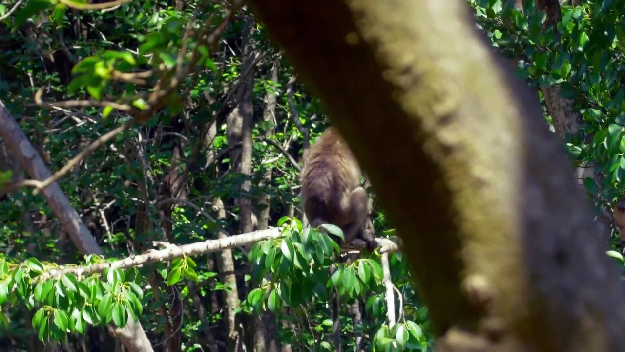Mysteries of the Mekong S01E09 - Vietnam Life In The Delta