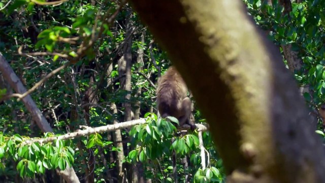 Mysteries of the Mekong S01E09 - Vietnam Life In The Delta