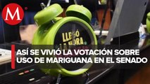 Así el Senado aprobó en lo general y particular la regulación de la mariguana