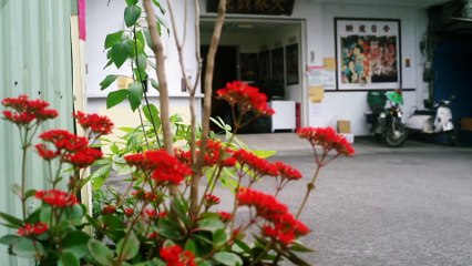 映画『完全なる飼育 étude』ディレクターズカット版予告編＋メイキング映像