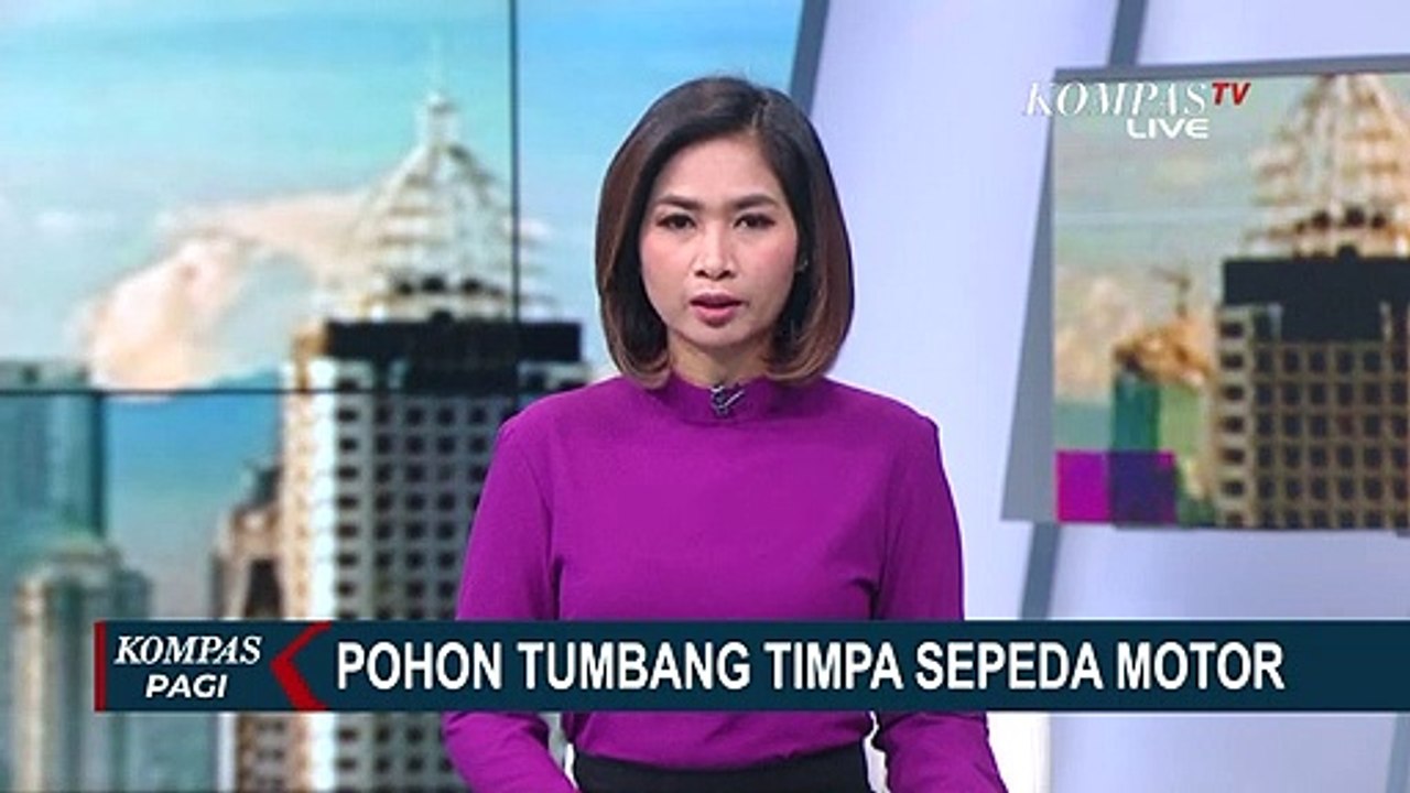Cuaca Buruk, Pohon Tumbang Timpa Motor