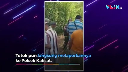 Bayi Baru Lahir Dibakar dan Ditemukan Warga Sudah Gosong