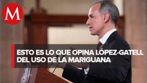 Opinar sobre uso lúdico de la mariguana no es competencia de la Ssa: López-Gatell