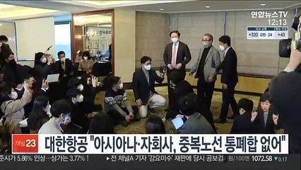 대한항공 "아시아나·자회사, 중복노선 통폐합 없어"