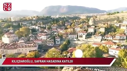 Kılıçdaroğlu, safran hasadına katıldı
