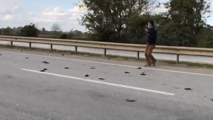 D-100 karayolunda ilginç olay, görenler şok oldu