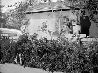 The Patty Duke Show S3E13 Patty Meets the Great Outdoors